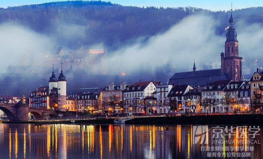 医学访学来德国海德堡的几个理由