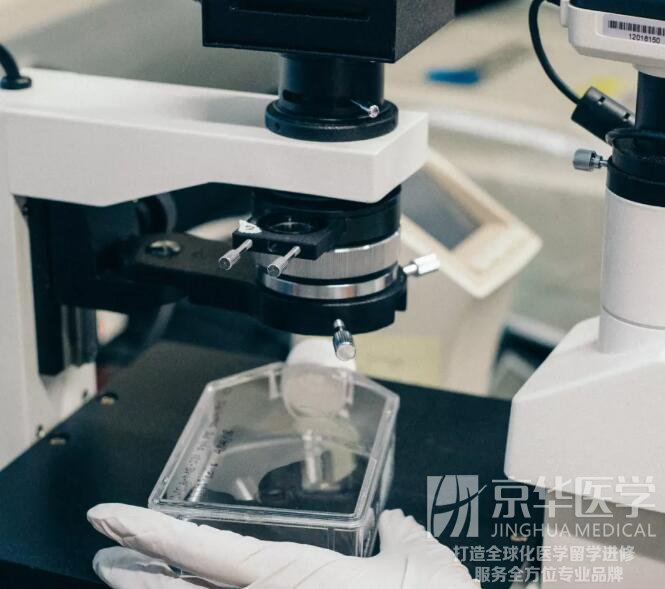 医学访学来德国海德堡的几个理由