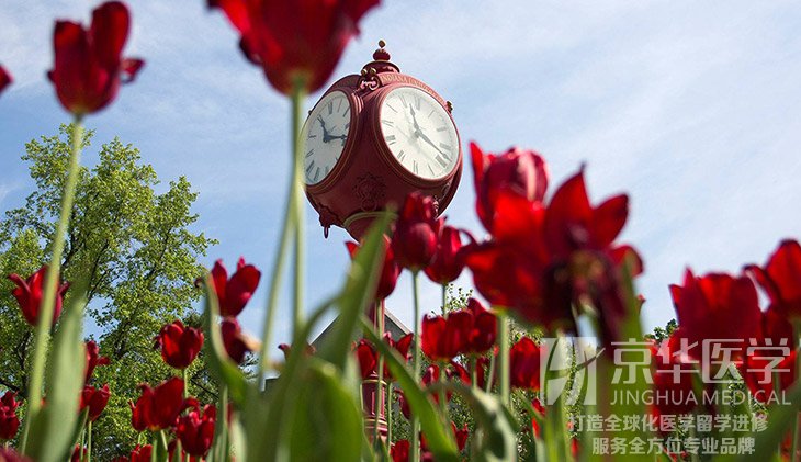 自己怎样DIY申请美国医学博士