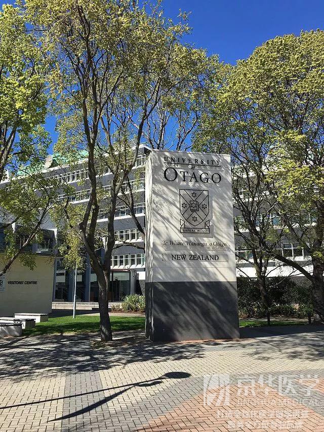 新西兰医学进修学医读医学院是什么感觉