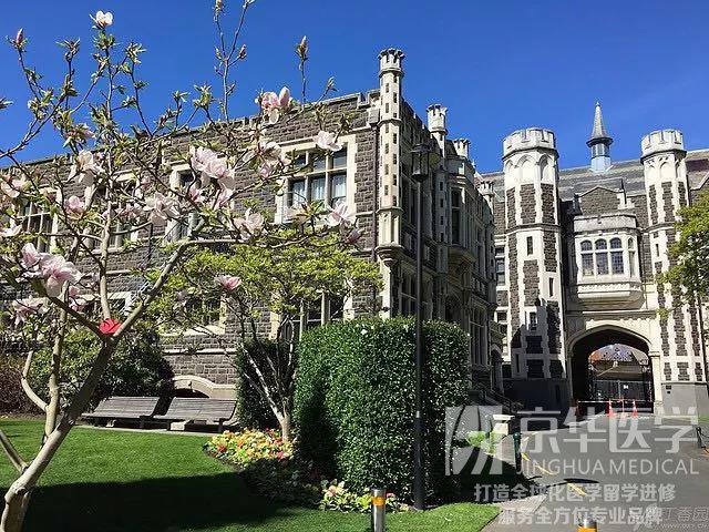 新西兰医学进修学医读医学院是什么感觉