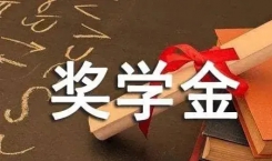 背景不差却始终无法拿到奖学金？