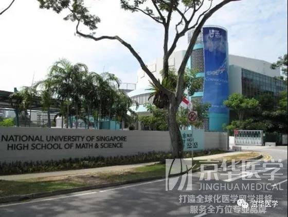 新加坡医学留学进修学习项目_访问学者_短期访学_临床进修