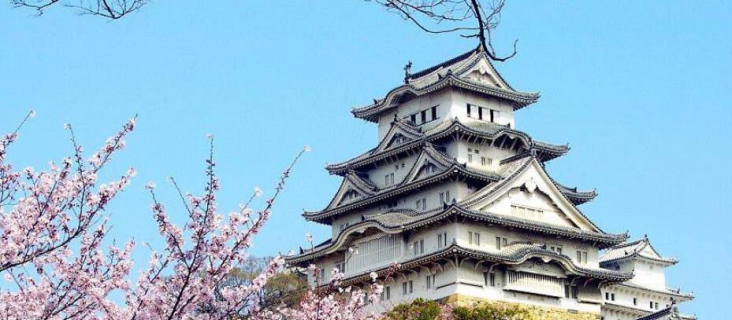 日本医学直博申请条件考试流程需要满足什么？