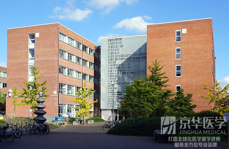 比利时鲁汶大学医学博士